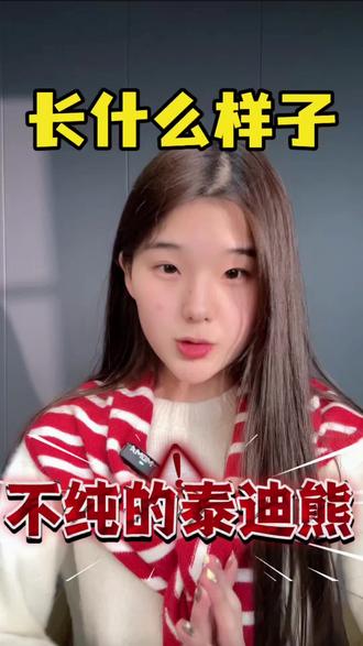 不纯的泰迪熊长什么样子?快来看看你中招了没有!#泰迪熊#香槟泰迪#郑州泰迪熊