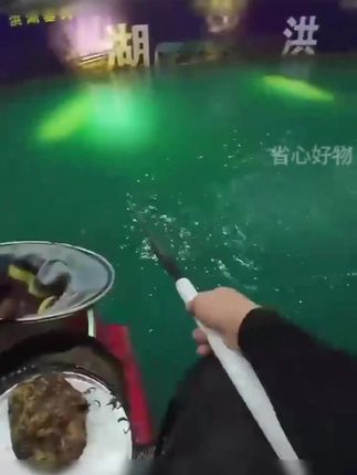 福翼底钓罗非鱼漂高灵敏醒目鲤鱼鲫鱼速钓短脚细长身罗非专用浮漂 #浮钓鲢鳙 #浮漂 #浮漂的选择 #爱生活爱钓鱼 #渔具用品