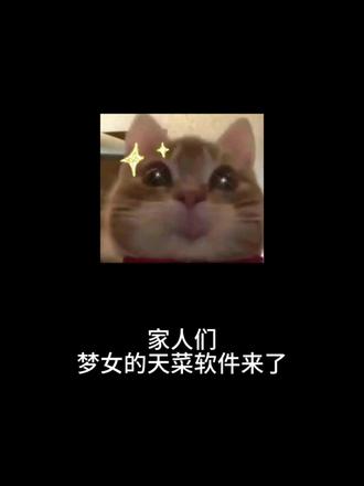 咋这么好玩呢
#bubbly#lovemo#ai聊天#人机恋