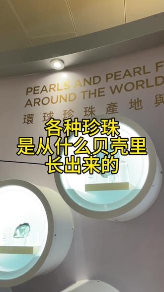 带你看各种珍珠是从什么样的贝壳里长出来的?#珍珠蚌 #珍珠首饰 #珍珠科普 #珍珠知识 #海水珍珠 没想到日本也产淡水珍珠,也没想到砗磲能长那么大珍珠。