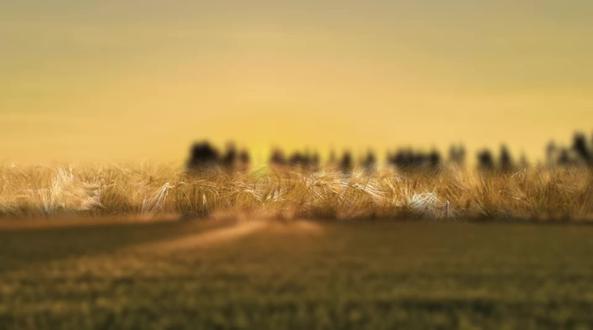 剪的不是很好😭#吕言伍我的你