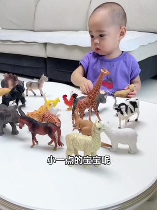 动物园搬回家啦 认知黄金期的宝宝就是聪明没几天都把动物全记住了