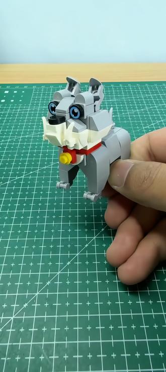 今日斗牛犬拼装分享:#益智玩具 #玩具 #积木#儿童玩具