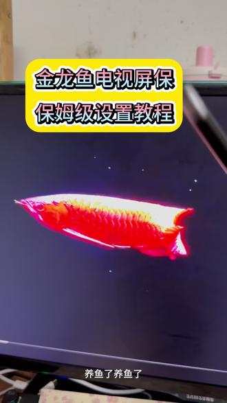 咐置金龙鱼屏保叩苓| 电视机养鱼设置教程来了
金龙鱼电视屏保设置教程
金龙鱼电视屏保设置方法
#电视养鱼教程 #电视屏保 #电视屏保设置 #电子养鱼 #金龙鱼屏保