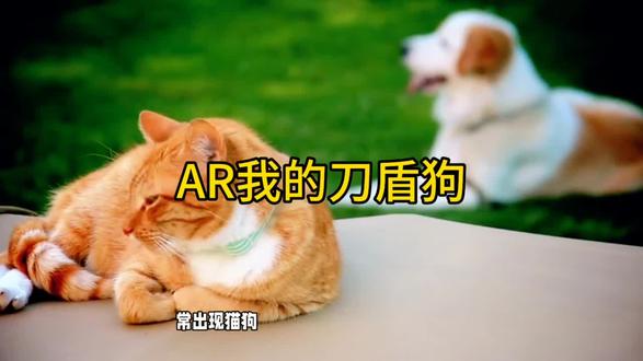 #AR我的刀盾狗 #大道至简 #电磁波 #被注视感