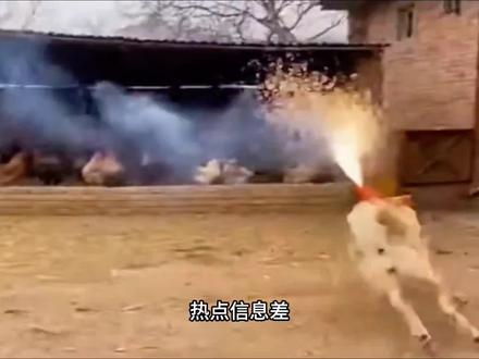 2月27日社会热点信息差。#热点新闻事件 #热点