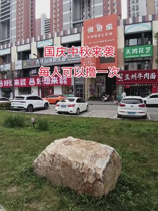 国庆中秋来袭,每人可以撸一次,赶快撸!!#抽纸#新人福利第一单 #超便宜超划算 #好东西一起分享