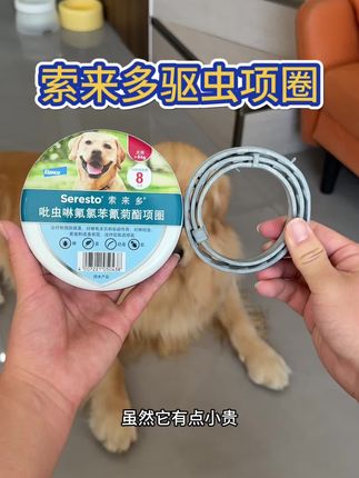 戴上就能驱虫的项圈 德国拜耳的黑科技 索来多驱虫项圈 买一根八个月都不用做外驱了#萌宠好物 #科学养宠攻略 #养狗经验分享