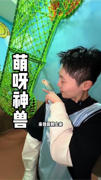 在长春体验综艺同款闯关类游戏,亲子遛娃情侣约会必冲!#萌呀神兽乐园#萌呀神兽营地 #带娃好去处#情侣约会 #带孩子去哪玩