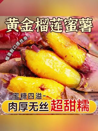 郝邵文推荐 正宗榴莲蜜薯黄心红薯现挖地瓜新鲜甜蜜薯沙地糖心软糯玛莎莉番薯#榴莲蜜薯#黄心地瓜#地瓜#番薯#红薯