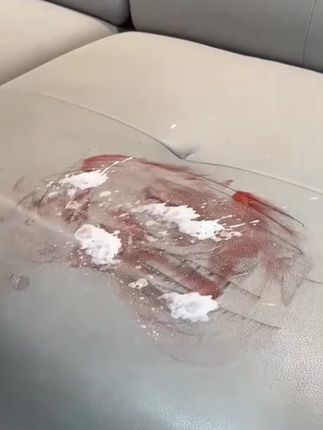 要是早点发现这个方法,也不至于好好的皮沙发换掉了! 喷上后拿白色海绵擦一擦,就能搞定皮沙发的顽固污渍。#皮沙发清洁妙招 #皮沙发清洁保养 #皮沙发污渍 #清洁皮沙发 #皮沙发清洁剂