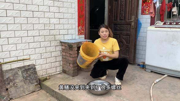 昨晚去夹黄鳝,黄鳝没夹到,发现很多螺蛳,今天就来做个炒螺蛳肉吃吃#抖音记录我的农村生活 #创作者中心 #创作灵感 #真实生活分享计划