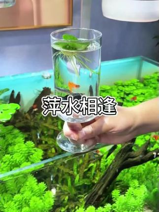 教孩子学会“吵架”,不惹事也不能怕事,在善良中带有一些锋芒,避免社交伤害#亲子教育#正确的引导孩子陪伴孩子 #家长必读