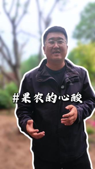 一场大雨过后 樱桃纷纷裂口 我们也心有余而力不足#樱桃#果农#自然灾害