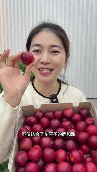 比车厘子还要好吃的樱桃李! #樱桃李 #新鲜应季水果#嘎嘣脆