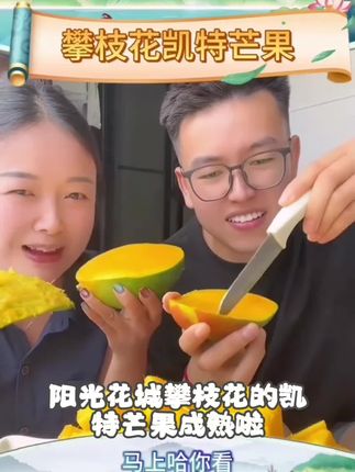 【阳光花城】攀枝花凯特芒果新鲜现摘酸甜多汁当季水果