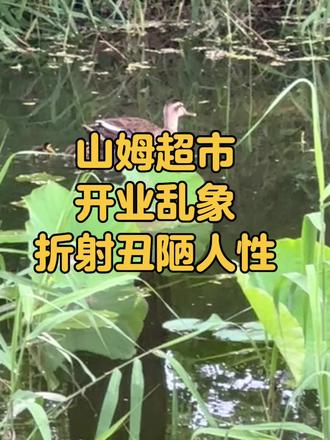 山姆超市乱象?