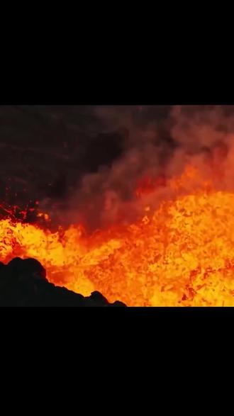 地球上古老的物种#冷知识#科普