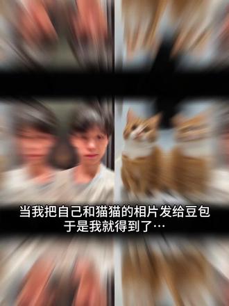 好有爱好喜欢,与猫咪相拥合照ai指令 教程来啦!#豆包p图指令宠物合照指令 ai生成自己和宠物的合照#和宠物合 合照教程来啦!和自家萌宠合照!#豆包P图指令#豆包ai