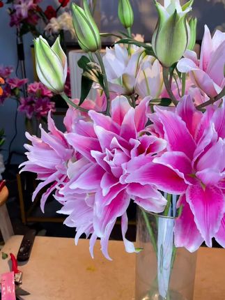 伊莎贝拉重瓣香水百合家用鲜花行业顶货云南省鲜切花#百合花#香水百合#鲜花#伊莎贝拉重瓣香水百合#重瓣香水百合