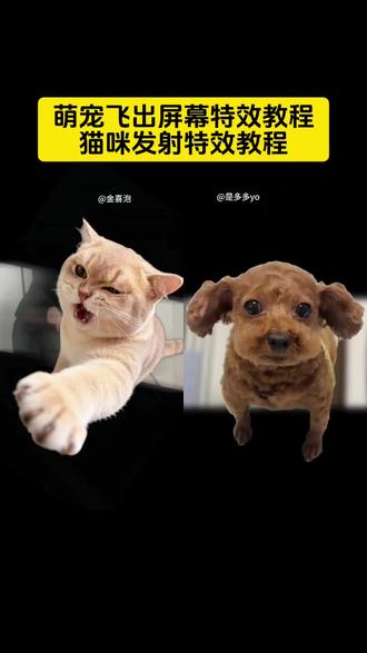 萌宠飞出屏幕特效,萌宠发射特效,猫咪发射特效教程 无限飞弹猫咪玩法 猫吓一跳被吓飞弓箭特效 宠物飞起特效 猫咪炮弹特效教程 猫咪炮弹特效 猫咪炮弹可爱瞬间 猫咪炮弹原视频 发射特技教程视频猫 猫咪发射 萌宠发射技巧 炮弹特效教程#剪映#萌宠发射特技#猫咪炮弹#小猫炮弹#小飞猫来了 猫咪导弹发射 小猫炮弹特效 猫咪炮弹教程 小猫炮弹教程剪辑 猫猫起飞视频怎么拍 猫咪炮弹搞笑视频 猫咪炮弹行为 猫咪发射视频 猫咪炮弹剪辑教程 猫咪炮弹可爱瞬间 猫咪炮弹剪辑技巧 猫咪发射特技教程视频