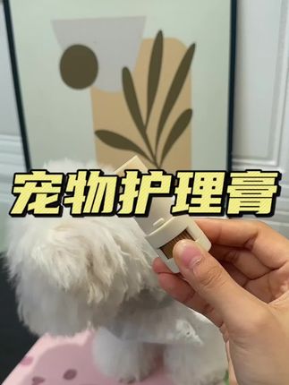 冬天马上到了,赶紧给你家毛孩子备上吧#萌宠好物 #宠物润脚膏#新手养宠必备#新手养宠攻略