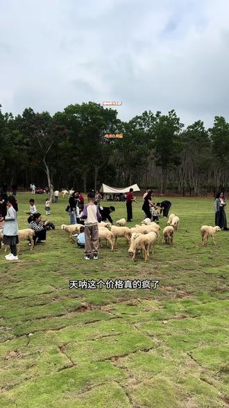 9.9元门票 春节不知道在哪里的就来鹿鸣雨林萌宠乐园,这里好玩又有趣,#鹿鸣雨林萌宠乐园#萌宠乐园#抖音团购优惠#儋州旅游 #