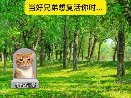 好兄弟在心中!#猫meme #好兄弟 #青年创作者成长计划 @抖音小助手