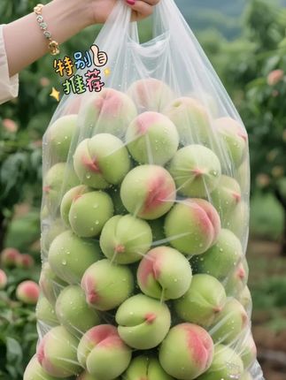 青皮脆蜜桃。枝头刚摘的青皮脆蜜桃,带着晨露的清润。薄薄的青果皮一撕就开,露出莹白如玉的果肉,咬下去咔嚓一声脆响,汁水顺着指缝往下淌。甜里裹着一丝微酸,像把夏天的清爽嚼进嘴里。每一口都带着阳光晒透的果香,果肉紧实却不硌牙,吃完连指尖都留着淡淡的桃香,是枝头到舌尖的新鲜本味。#桃 #蜜桃 #水蜜桃 #桃子熟了 #水果 @抖老师流量扶持(快速上热门) @抖加🔥上热门🔥dou+🔥热点宝