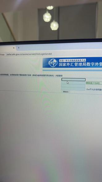 #外汇 #学习日常vlog #财务 #学习打卡vlog #财经知识 外贸企业的外汇申报平台!