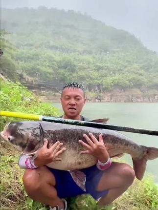 #钓鲢鳙 #台钓竿 #户外钓鱼 #钓鱼装备 #钓大物