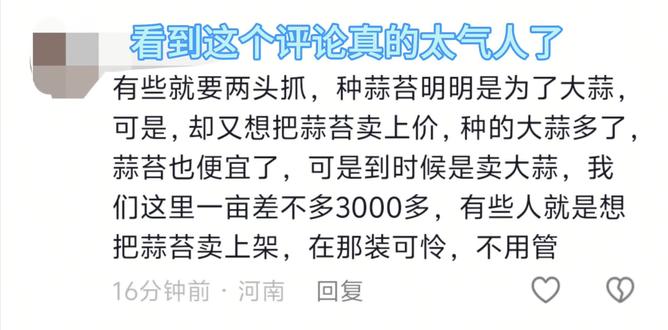 #河南蒜苔 #蒜苔滞销
农民种蒜多了蒜苔就便宜了,那是市场供需决定的,不是她们蒜农能控制的。她们只是想把自己的劳动成果卖出去,不偷不抢,光明正大。