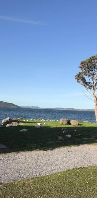 当生活不再有惊喜和感动时,你会发现孤独其实就是自由!