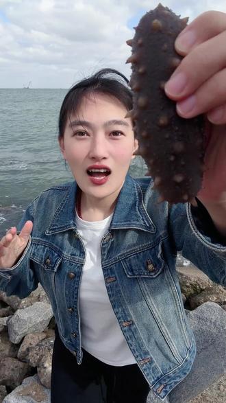 蓝海珍岛-看看自然生长的大海参,真不错!