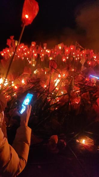 送走瘟神,新的一年事事顺心!#正月十四传统习俗 #送瘟神