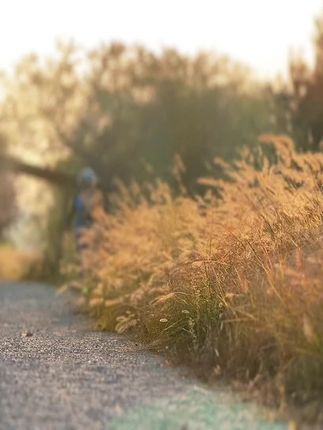 一转眼入冬了,秋天的样子还很浓郁 #跑步