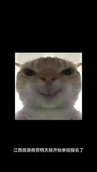 明天就开始单招报名啦!#单招 #单招报名 #江西旅游商贸职业学院 #单招倒计时 #复习资料