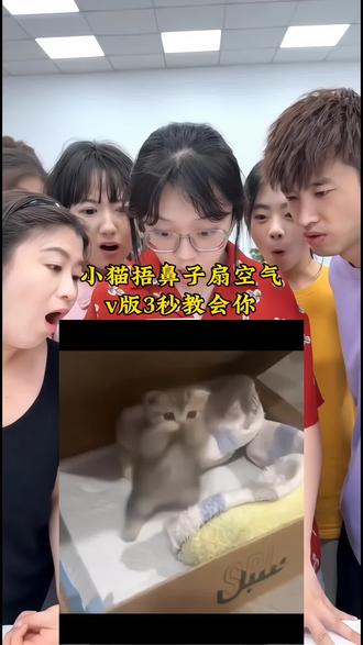 小猫捂鼻子扇空气表情包怎么弄?#小猫捂鼻子扇空气表情包 #小猫捂鼻子扇空气表情包微信 #剪映 #捂鼻子舞 #表情包