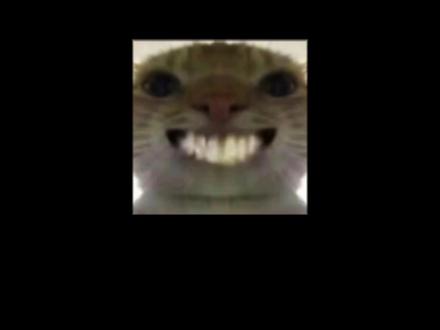 #三角洲 你们体力都满级了吗