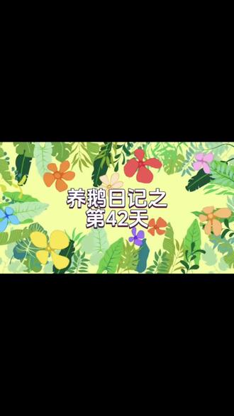 养鹅日记之42天 #自己家里养的小萌宠 #鹅宝宝成长记 #真实生活记录 #宠物出道计划 #每日农场