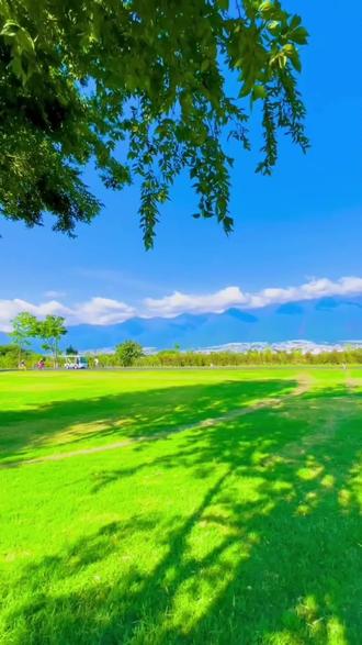 河北省高考不同分数段对应院校参考如下(
非官方录取线,仅供初步定位
,实际需结合当年一分一段表和位次填报):
610-650 分
可冲刺省内顶尖院校及部分 985/211,如东北大学秦皇岛分校(985)、华北电力大学(保定,Z11)、河北工业大学(211)。
570-610 分
对应省内重点双非,如燕山大学、河北大学、河北师范大学、河北医科大学、石家庄铁道大学、中国人民警察大学。
500-540 分
以省内特色公办本科为主,如河北金融学院、北华航天工业学院、华北科技学院、河北建筑工程学院、廊坊师范学院、防灾科技学院、唐山师范学院、河北中医学院、承德医学院。
#优质玉米地 #玉米地 #大草原 #夏收 #上热门