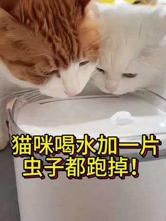 #养猫经验分享 #猫咪驱虫 #可爱的小猫咪 #家有萌宠