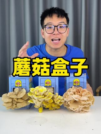 就这个小盒子真的可以种出来蘑菇吗?#测评 #蘑菇盒子 #自己种的蘑菇 #diy