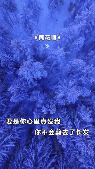 #全民k歌 《同花顺》
喜欢这句歌词!
闪动如蝴蝶在双颊,那是眼泪吗?