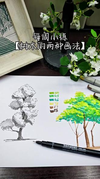 线色写生+马克笔叠色双技法get🌳
#零基础学画画 #南通画室 #南通宝妈 #马克笔手绘 #一起学画画