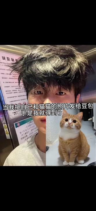 猫咪是人类最好的朋友,世界不能没有猫咪#狸花猫 小猫 #豆包 你还是太权威啦!和猫猫相拥 和自家萌宠合照 和猫猫拥抱ai合照指令教程来啦!#和宠物合照 豆包p图和猫猫合照 #豆包ai #猫猫