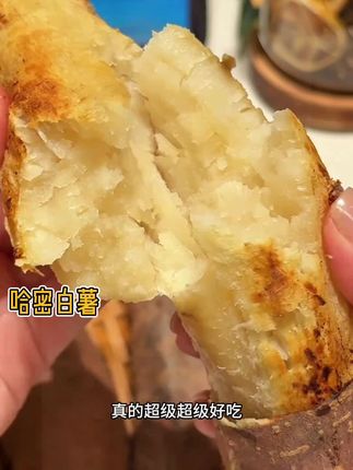 谁还没有尝过这个哈密白薯,软糯香甜,无筋无丝,无论是蒸,煮,烤,煲粥都很好吃。这个链接别错过哦!#哈密白薯