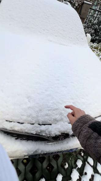 #雪地画 三幅画速成派大星