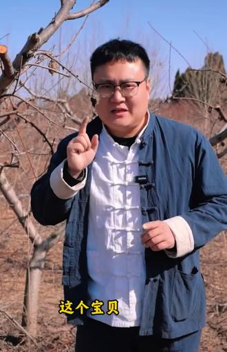 #桃枭 #只遇有缘人#经历风雪依然挂在树上 正月东南枝上摘桃枭。一桃压百魅一枭镇千邪