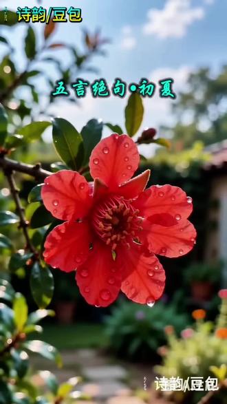 五言绝句•初夏其三 #创作灵感 #寻找诗里的自然景观 #田园生活 #诗歌鉴赏